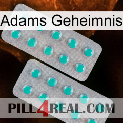 Adams Secret 29
